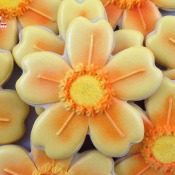 Flowers10
