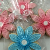 Flowers12