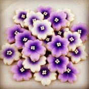 Flowers6