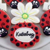 ladybugs4